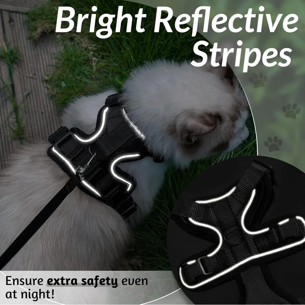 Cat harness